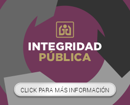 INTEGRIDAD PUBLICA